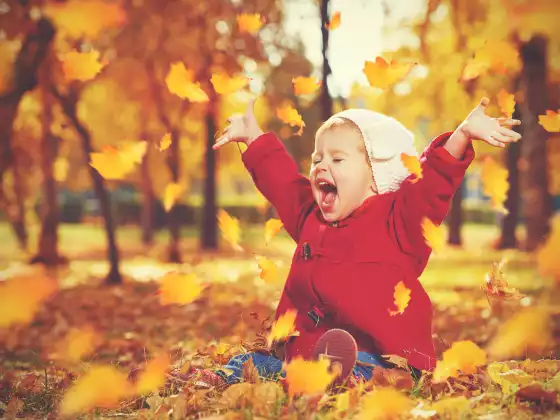 Parenting a Highly Sensitive Toddler
