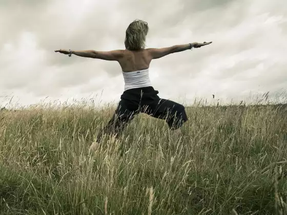 #9 Hatha Yoga - Multilingual