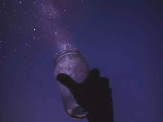 #66-Dream Interpretations: Part 2