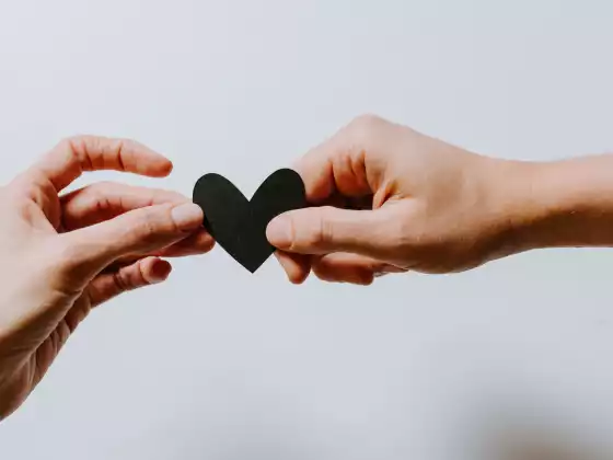 Soul Connections: Twin Flames, Soul Families, & Soul Mates: A Channeling with Grace and Maitland