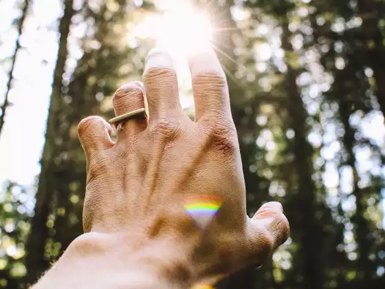 Self Healing: Where to Begin?- A Channeling with Grace and Maitland