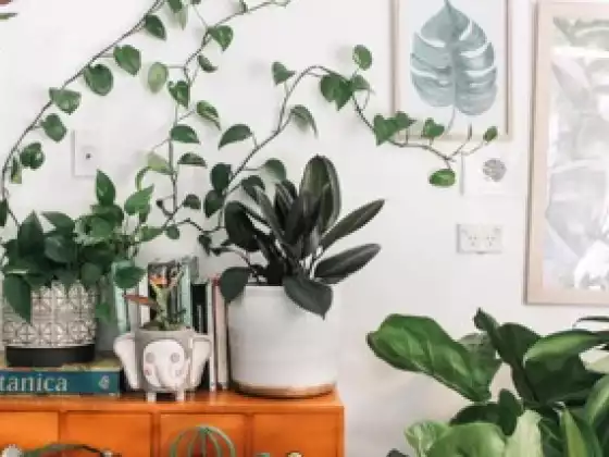 #72-Feng Shui Fixes: Get the Energy Flowing in Your Space!