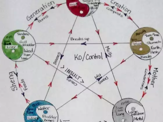Qi Gong 5 Phases of Change, Meditation as Medicine