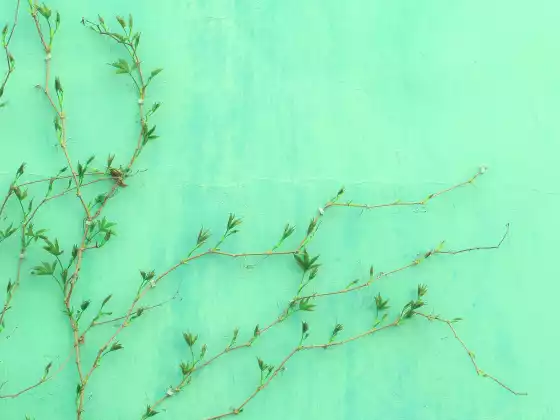 #90-Color Therapy with Green