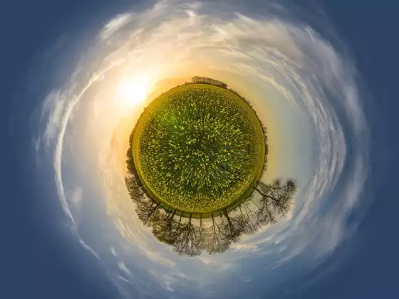 Earth Energy Guided Meditation for Cleansing