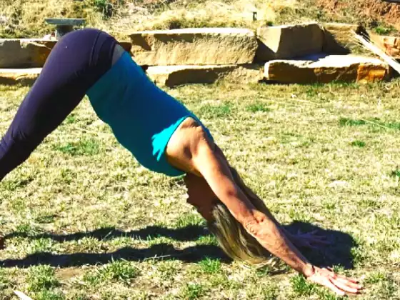 Healing From the Root ~ Yoga for Wellness