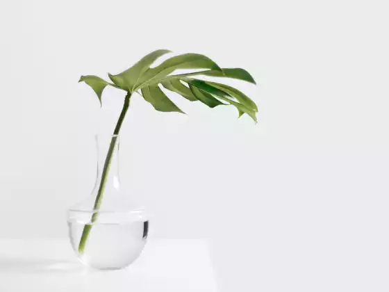 Finding Perfection in Everyday Life: A Channeling with Maitland and Grace