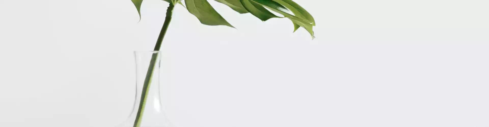 Finding Perfection in Everyday Life: A Channeling with Maitland and Grace - Online Class by Jamie Butler