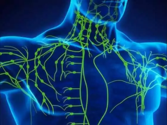 Le système lymphatique est vital pour votre santé, alors comment pouvez-vous l'aider ?