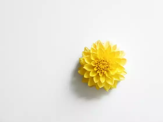 靈氣大師問答