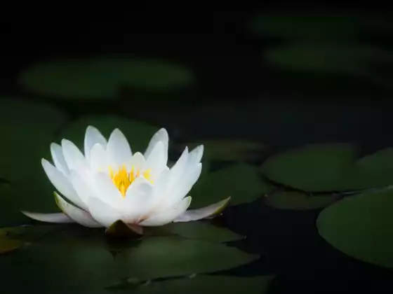 ریکی لیول 2