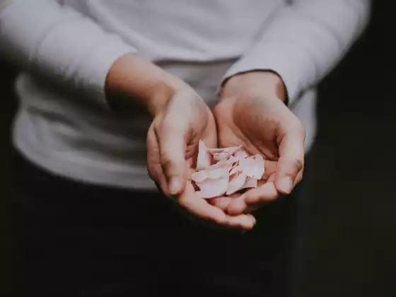 Reiki Level 1 Q&A