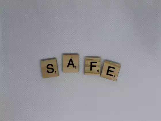 SE: The True Cost of Safety