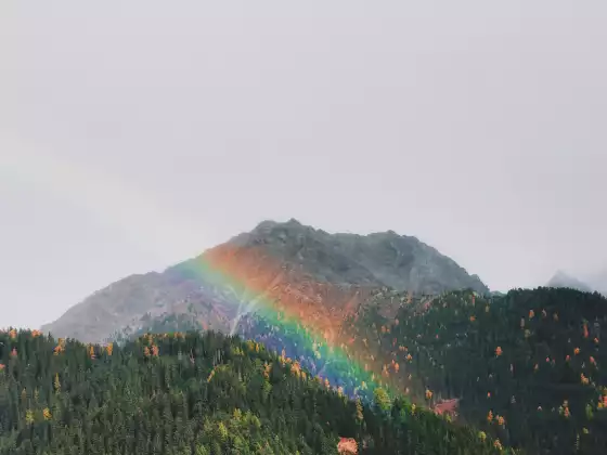 光环层、纹理、图案及其含义