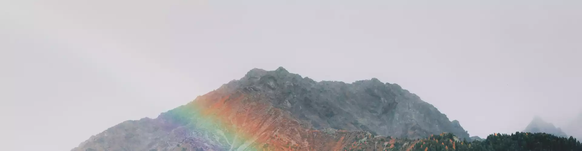 光环层、纹理、图案及其含义 - Online Class by Jamie Butler