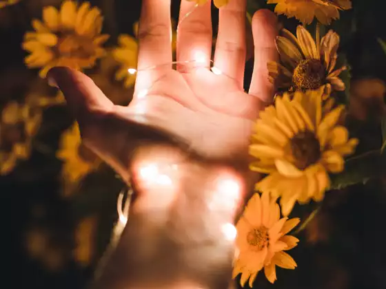 Remote Reiki Healing for 33 Minutes