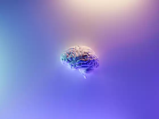 Yoga pour la santé du cerveau ~ 20 minutes pour une vie meilleure