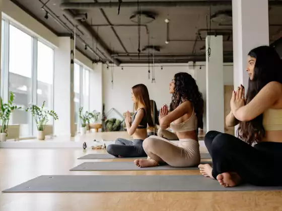 Beginner's Yoga with Dixie