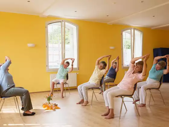 Chair Yoga & Qigong - Vagus Nerve