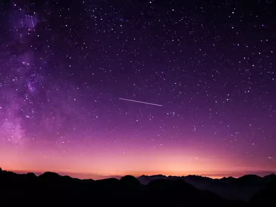 Who are the Pleiadian Star Beings?