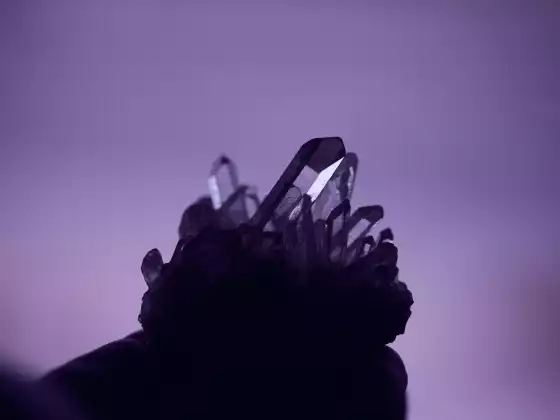 骶脉轮 101
