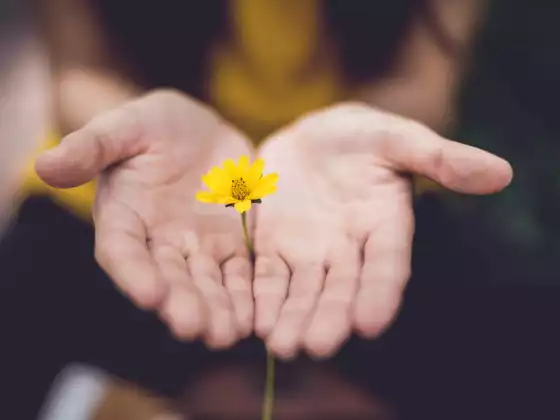 Reiki healing for you and your loved ones!