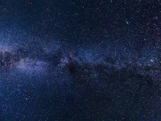 Who Are the Lyran Starseeds?