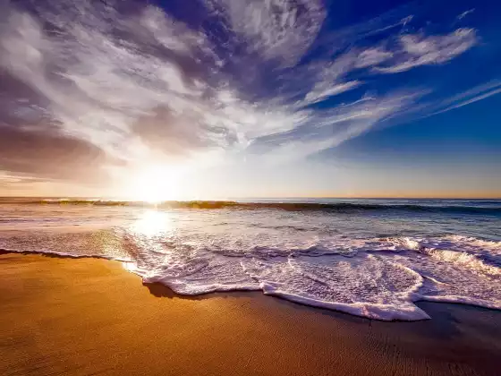 Holy Fire® Reiki Meditation Journey: The Ocean of Holy Love Experience