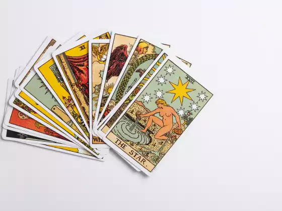 選一張牌，任何一張牌