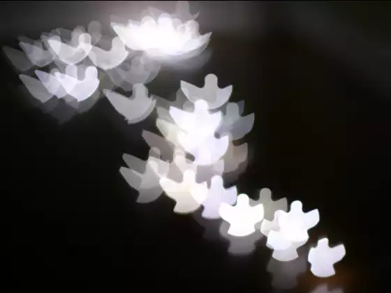 The Angel Bundle