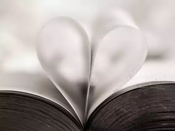 Holy Fire® Reiki Meditation: Holy Love 1 Опыт