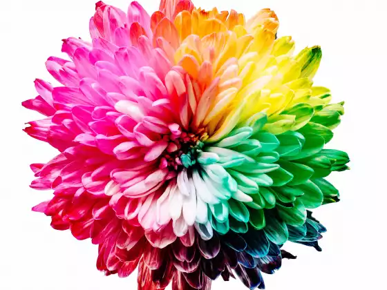 Clearing and Activating Your Chakras Series