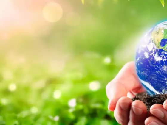 Connect and Heal with Mother Earth