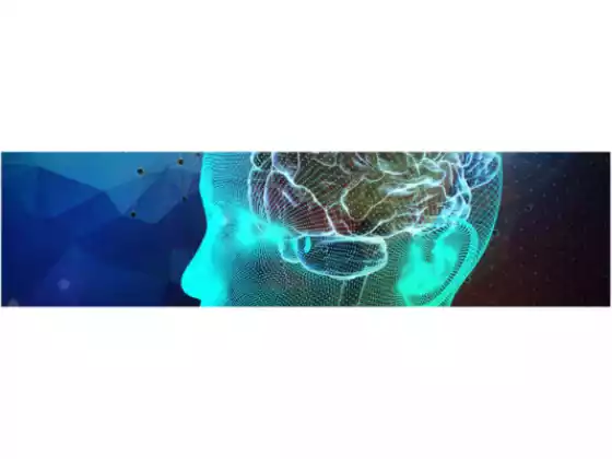掌握治愈心灵