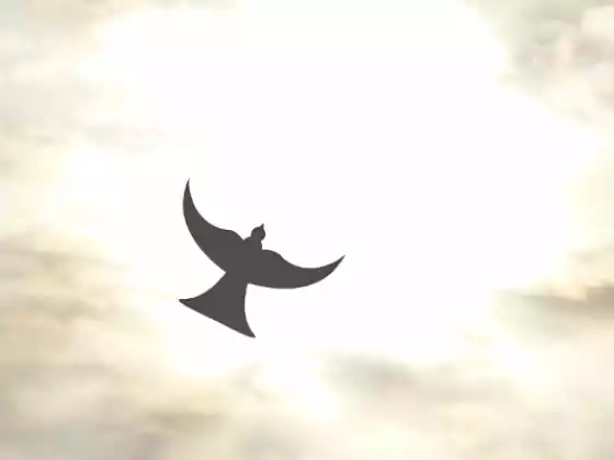 Spiritualità "L'anello mancante nel benessere mentale"