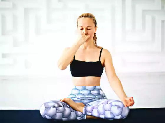 Pranayama 및 명상 연습