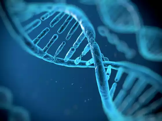Alla scoperta del DNA*