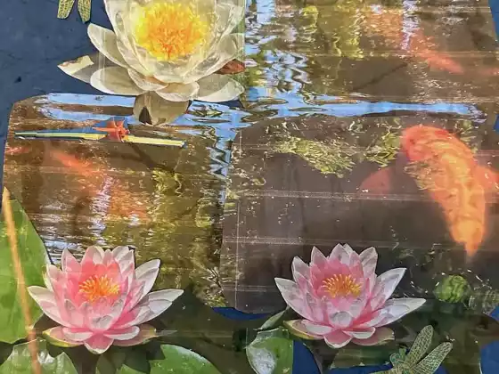 治愈课程