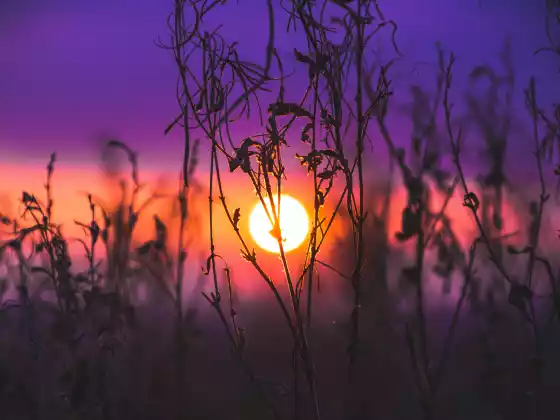 Spiritual Ascension Sundays