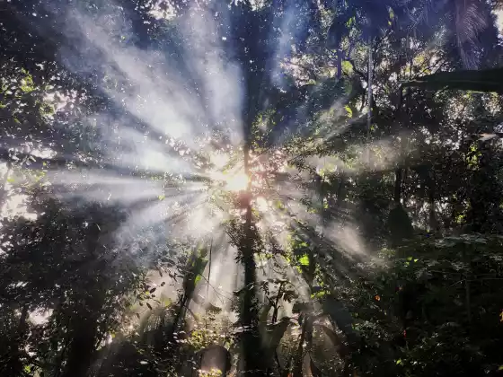 Spiritual Ascension Sundays