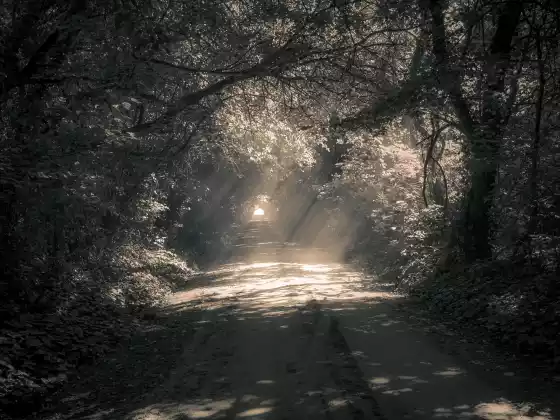 Spiritual Ascension Sundays