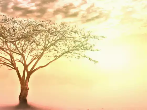 Intuitive Evolution with Judi Lynch