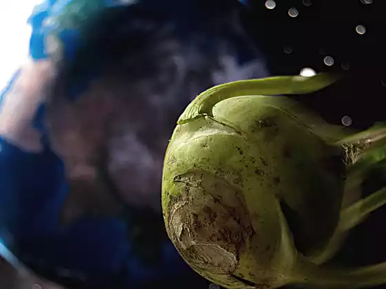 10 fruits et légumes hors du commun à essayer