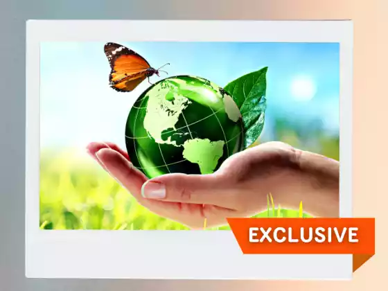 How to Develop Eco-Friendly Life Practices for Transformational Self Improvement