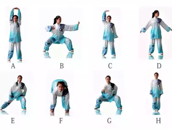 25 minute Qigong 8 Silk Brocades