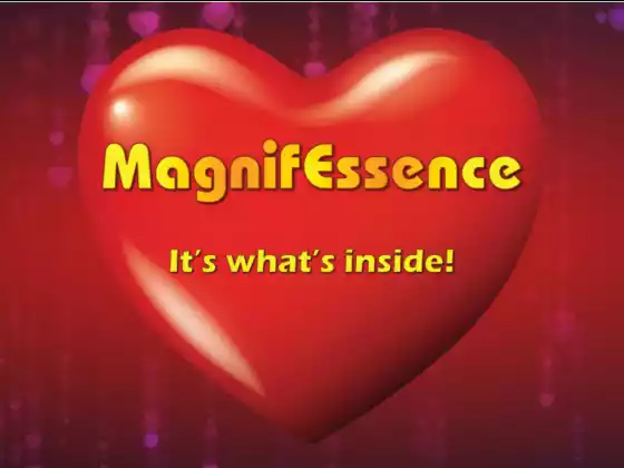 MagnifEssence：平台概述和演练