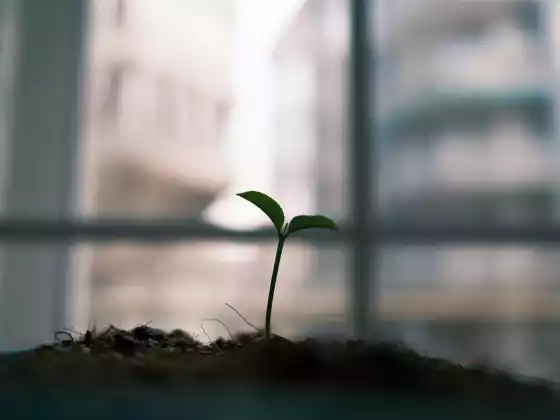 انرجی ہیلنگ جسمانی ویبینار کیسے بنتا ہے 1