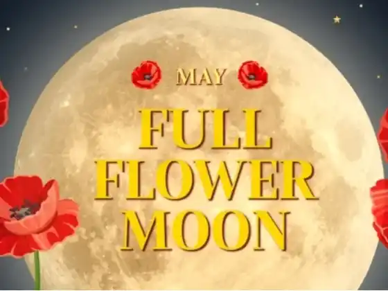 Full Moon Meditation 