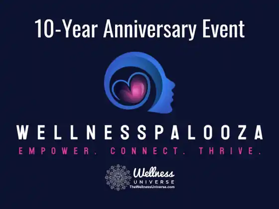 L'universo del benessere Wellnesspalooza 2025