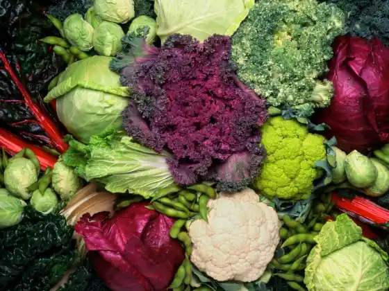 Quatro coisas para fazer com vegetais crucíferos - Novo material! Atualização para 2025!